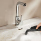 N20 Steam Portable Multi Use Cleaner